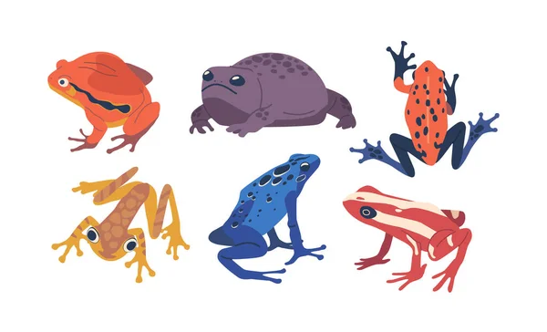 エキゾチックなカエルのセット 鮮やかな色の多様性を示すカラフルな熱帯両生類 パターン ユニークな機能 自然プロジェクトのための隔離された要素 漫画ベクターイラスト — ストックベクタ