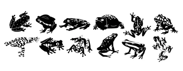Экзотические Лягушки Черно Белые Иконы Представляющие Уникальную Красоту Амфибий Минималистской — стоковый вектор