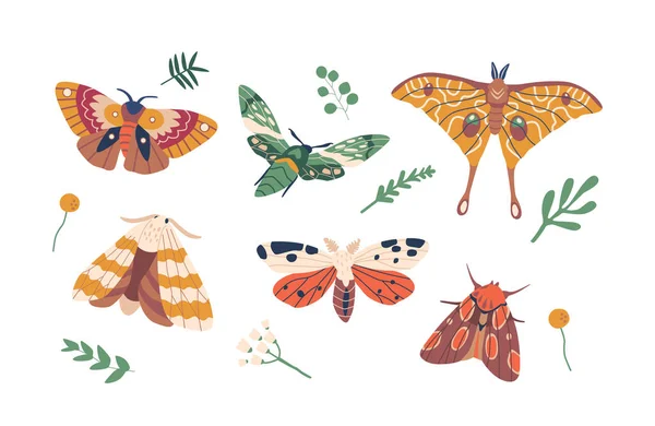 優美で繊細な蝶は カラフルな翼と幻想的な飛行で魅力的な活気のある昆虫です かれらは楽園に入り 喜びに忙がしい 漫画ベクターイラスト — ストックベクタ