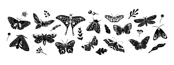 Minimalist Siyah Beyaz Kelebek Simgeleri Kanatlı Yaratıkların Zarafetini Zarafetini Yakalıyor — Stok Vektör