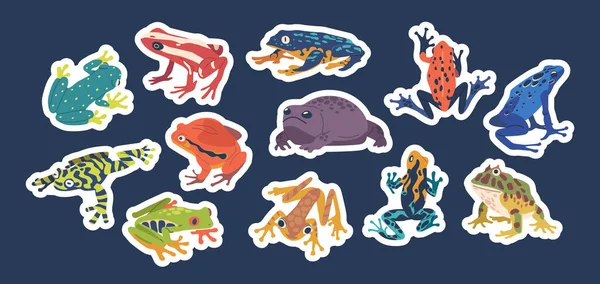 Exotischer Frosch Sticker Set Vorhanden Sammlung Von Lebendigen Flecken Mit — Stockvektor