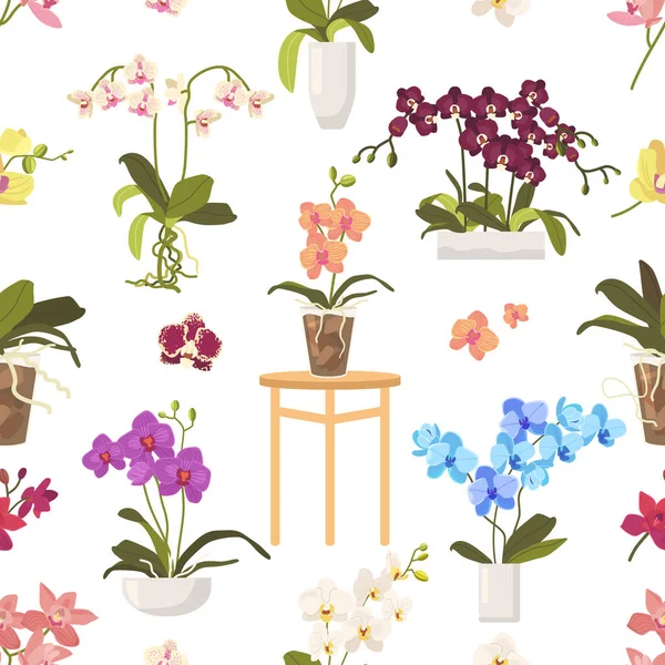 Les Orchidées Élégantes Créent Modèle Sans Couture Montrant Leur Beauté — Image vectorielle