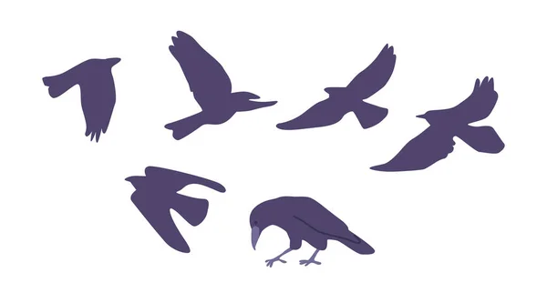 Gizemli Zeki Kara Kuşlar Kargalar Ayırt Edici Dişleri Parlak Tüyleri — Stok Vektör