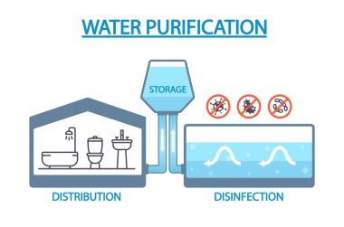 Su arıtma aşamaları, dezenfeksiyon ve dağıtım tüketim için temiz ve güvenli su sağlayın. Halkın sağlığını korumak ve Waterborne hastalıklarını önlemek için hayati adımlar. Vektör İllüstrasyonu