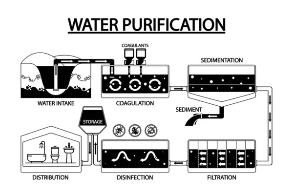 ブラックとホワイトのインフォグラフィックは 水浄化のプロセスを示しています 水の摂取量 沈殿物 ストレージと流通段階 漫画ベクターイラスト — ストックベクタ