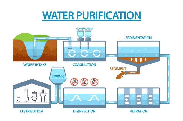 水浄化のプロセスを示すインフォマティブインフォグラフィック 水の摂取量 沈殿物 ストレージと流通段階 漫画ベクターイラスト — ストックベクタ