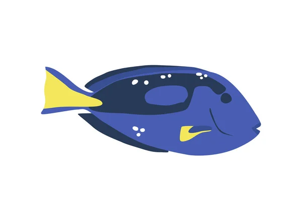 Ізольовані Величні Морські Риби Витончено Ковзають Через Океанські Глибини Яскравими — стоковий вектор
