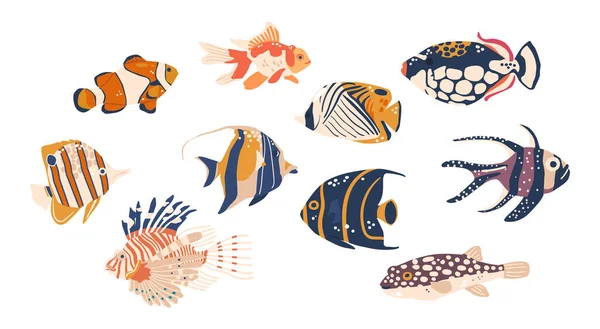 Vielfältige Und Lebendige Meeresfische Bewohnen Weltweit Unterwasser Ökosysteme Von Farbenfrohen — Stockvektor