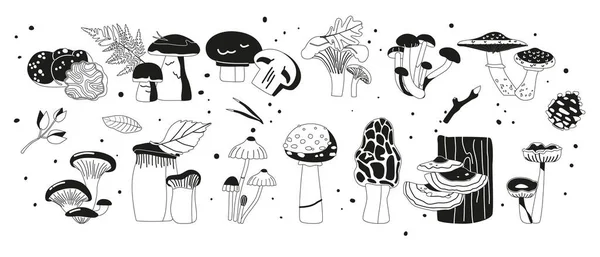 Набор Лесных Грибов Черные Иконы Toadstool Woolly Milkcap Chanterelle Morel — стоковый вектор