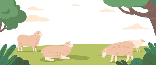 Geniş Alan Yazı Doğa Pürüzsüz Koyunlarla Kaplanmış Huzurlu Otlatıcı Huzurlu — Stok Vektör