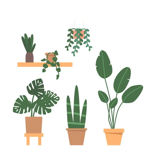 Ensemble Plantes Pot Qui Ajoute Une Touche Verdure Fraîcheur Tout — Image vectorielle