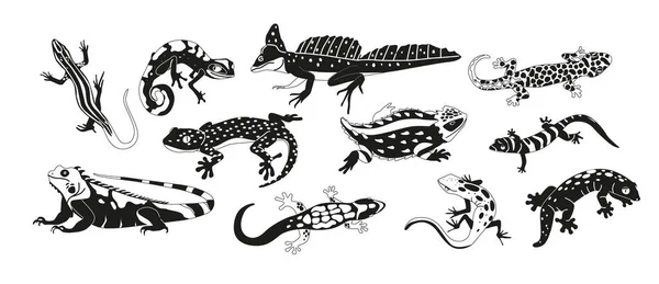 Exotische Hagedissen Varans Zwart Witte Pictogrammen Set Boeiende Reptielen Bekend — Stockvector
