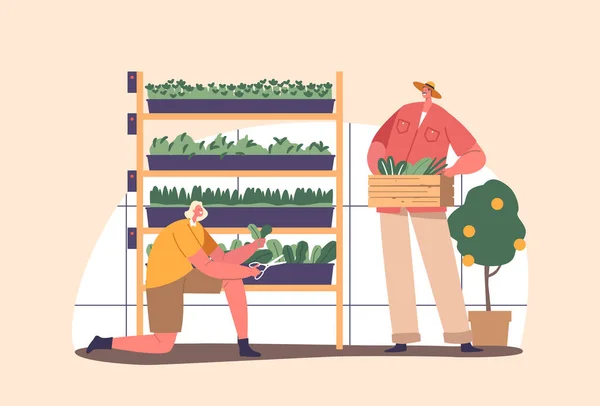 Personnages Jardinier Prenant Soin Des Plantes Dans Environnement Contrôlé Une — Image vectorielle