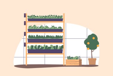 Yeşil bitkilerin kontrollü bir ortamda yetiştirildiği, optimum büyüme koşullarının sağlandığı ve sağlıklı ürünlerin dış faktörlerden korunduğu bir sera. Çizgi film Vektör İllüstrasyonu