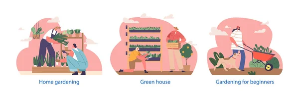Isolierte Elemente Mit Gärtnercharakter Die Sich Grünflächen Gewächshaus Kümmern Pflegen — Stockvektor