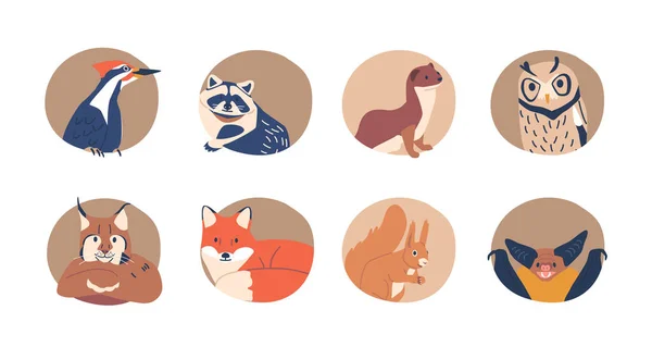 Animals And Birds Isolated Round Icons or Avatars. Lynx, Squirrel, Fox and Owl. Raccoon, Ferret, Woodpecker and Bat Wildlife Creatures on White Background. Cartoon Vector Illustration