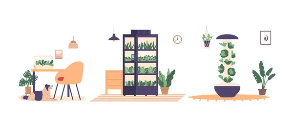 Interiores Casa Com Equipamentos Para Cultivo Verduras Ervas Frescas Interior — Vetor de Stock