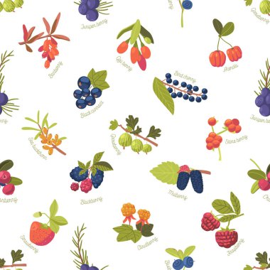 Berry 'li kusursuz Pattren. Çilek, ahududu, deniz dikenlisi ya da kuş kirazı. Juniper, Black Currant, Blueberry ve Acerola. Kızılcık, Bulutçilek, Böğürtlen ve Godji. Çizgi film Vektör Döşemesi