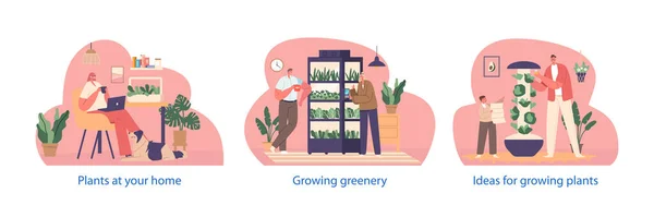 自宅でラッシュグリーンを栽培するキャラクターと孤立した要素 自然との接続を促進する 人々は緑とミクログリーンを植えるための機器を使用します ベクター イラスト — ストックベクタ