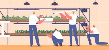 Karakterler, mikro yeşil rafları oluşturup monte eder, rafları düzenler, lambaları ve çerçeve çerçevelerini küçük, besin zengini bitkiler yetiştirmek için düzenler. Çizgi film İnsanları Vektör İllüstrasyonu