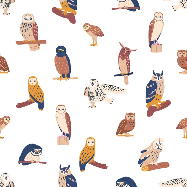 Charming Seamless Pattern Featuring Adorable Owls Various Poses Sizes Creating — Stock Vector
