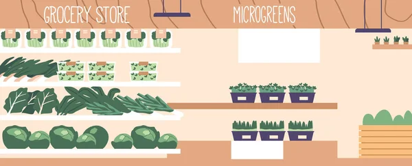 Lebendige Lebensmittelgeschäft Interieur Mit Regalen Voller Frischer Grün Und Mikrogemüse — Stockvektor