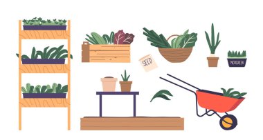 Rafta, Rafta, Taze Salatalar, Trolley, Tahta Kutu ve Sepet 'te Simge Mikroçipleri, Yeşiller ve Taze Salatalar. Tohumlar, Çiğ Saksı Yeşillik Çeşit Çeşit Ayrıştırılmış Elementler. Çizgi film Vektör İllüstrasyonu