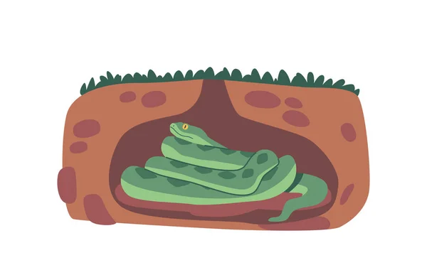 Snake Burrow Concealed Underground Snake Waits Patiently Prey Its Secretive — Stock Vector