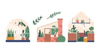 Sera, bitkileri yetiştirmek için kontrollü bir ortamdır. Şeffaf duvarları ve çatıları kullanarak güneş ve ısıyı hapsediyor ve bitki büyümesi için ideal koşulları yaratıyor. Çizgi film Vektör İllüstrasyonu