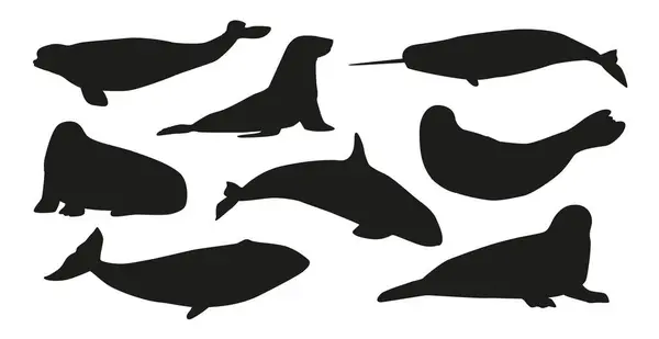 Schwarze Silhouetten Von Walen Walrossen Orcas Und Weißwalen Mit Narwalen — Stockvektor