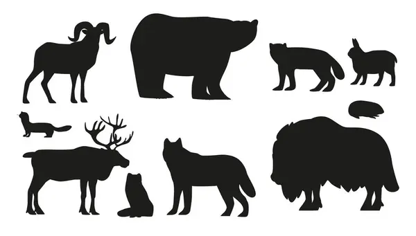 Black Silhouettes Arctic Animals Set Polar Bear Fox Ermine Musk — Stock Vector