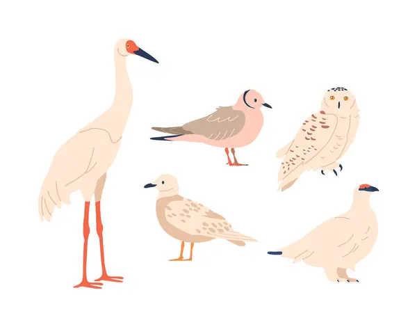 Arctic Birds Inkluderar Iconic Snowy Owl Gull Heron Arctic Tern — Stock vektor