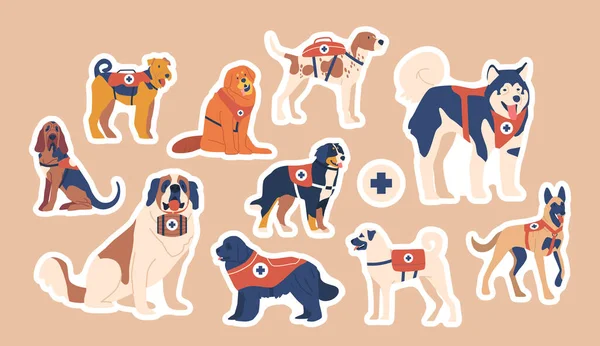 Set Avalanche Rescue Dogs Stickers Trained Canines Specialized Locating Rescuing — Stock Vector