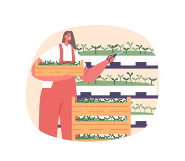 Kadın çiftçi dikkatli bir şekilde canlı mikro sebzelerle dolu raflara bakar, büyümelerini özenle ve titizlikle besler. Kadın Karakteri Doğal Ödül İçerde Göster. Çizgi film İnsanları Vektör İllüstrasyonu