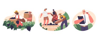 Elle yapılan şarap üretimi, üzüm toplamayı, ezmeyi ve meyve suyunu mayalamayı içerir, sonra da şarap garsonunun meşrubat tatmasını. Şarap Üreticileri Eşsiz ve Yüksek Kalite Şarap, Vektör Ayarları Oluşturur