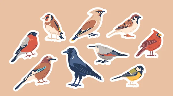 Set Stickers European Winter Autumn Bird Species Wild Garden Birdies — Wektor stockowy