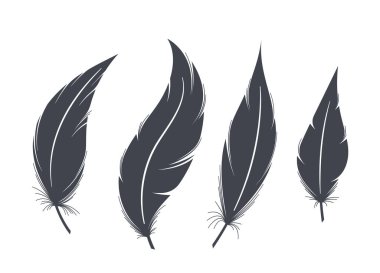 Siyah Tüy Siluetleri. Zarif Kuş Gölgesi Beyaz Arkaplanda İzole Edildi. Zarif ve Çok Yönlü, Sanatsal Tasarımlar, Dekor ya da Sembolik Temsilciler İçin Mükemmel. Vektör İllüstrasyonu