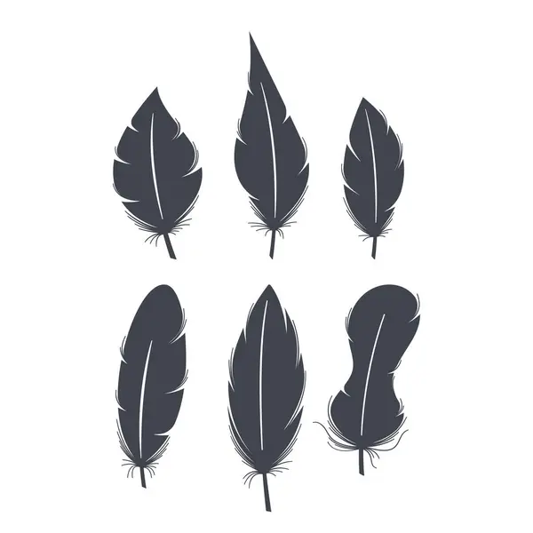 Elegante Black Feather Silhouetten Gracieuze Ingewikkelde Vormen Die Schoonheid Van — Stockvector