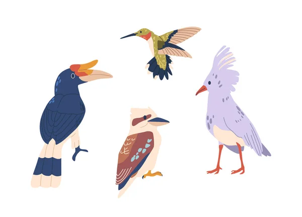 Tropikal Kuşlar Canlı Plumage Övünürler Zole Edilmiş Vektör Set Özellikleri — Stok Vektör
