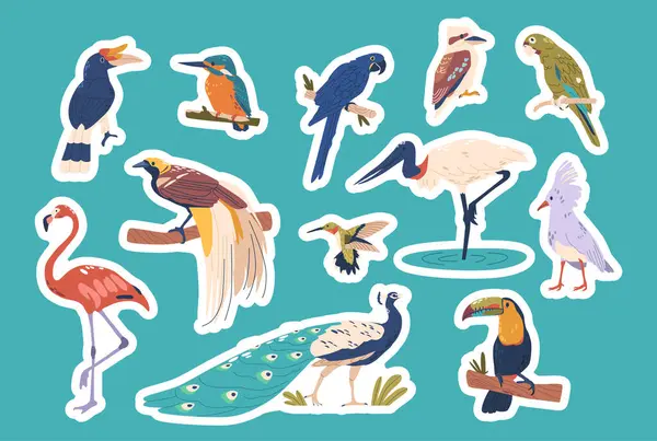 Tropical Birds Boast Vibrant Plumage Isolated Vector Stickers Set Rainforests — Stock Vector