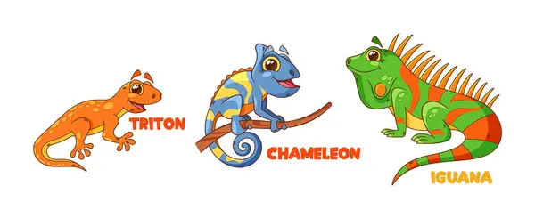 Cartoon Lizard Characters Triton Chameleon Iguana Feature Vibrant Colors Large — Stock Vector