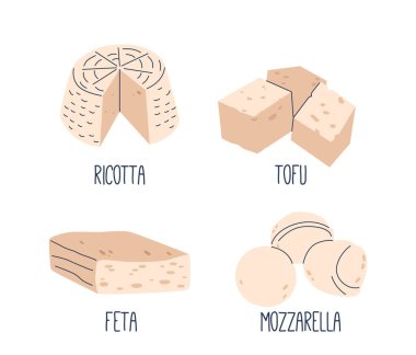 Ricotta, Tofu, Feta ve Mozzarella Yumuşak Kremalı Peynir Dilimleri. Çok yönlü Süt Ürünleri, Bulaşıklara Zengin Lezzet, Şaraplar ve Lezzetli Bir Atıştırmalık Olarak Servis Ediyor. Çizgi film Vektör İllüstrasyonu
