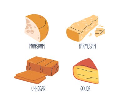 Sert peynir eskimiş, yoğunlaşmış ve sert bir lezzetle gevrek olur. Parmesan, Çedar, Maasdam ve Gouda örneklerini içerir. Kendi başına ızgara yapmak, dilimlemek ya da eğlenmek için birebirdir. Çizgi film Vektör İllüstrasyonu