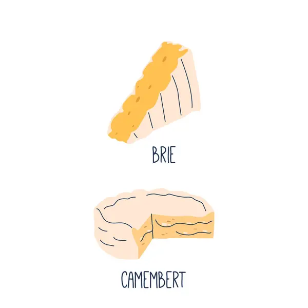 Brie Camembert Quesos Franceses Suaves Cremosos Con Una Corteza Blanca — Vector de stock
