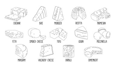 Peynir Türleri. Brie, Morbier ve Dorblu, Valencay veya Smoked. Camembert, Valencay ve Parmesan, Çedar, Maasdam ve Gouda. Ricotta, Tofu, Mozzarella ve Tofu Süt Ürünleri. Vektör Taslak Simgeleri Ayarlandı