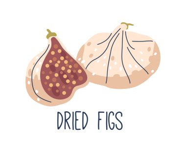 Kurutulmuş incir çiğnenir, yoğun dokuları olan tatlı meyveler. Bal ve ince dünyevi şeyleri anımsatan konsantre bir lezzet sunuyorlar. Doğal Organik Tatlı, Sağlıklı Yemek. Çizgi film Vektör İllüstrasyonu