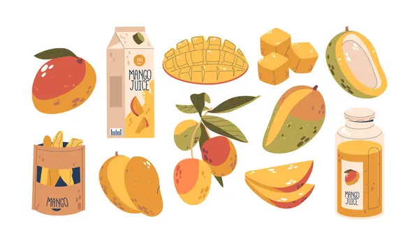 Renkli Karikatür Vektör Seti Çeşitli Mango Sunumları Tüm Meyveler Dilimlenmiş Telifsiz Stok Illüstrasyonlar