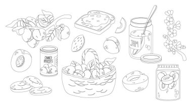 Taze, konserve, reçel ve bir sepet kayısı da dahil olmak üzere çeşitli şekillerde kayısıların siyah ve beyaz lineer vektör çizimleri. Boyama kitapları, yemek blogları ve eğitim materyalleri için mükemmel.