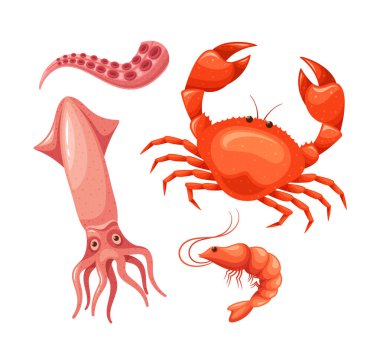 Bir mürekkep balığı, yengeç, ahtapot dokunaçları ve karides de dahil olmak üzere canlı deniz ürünleri yaratıkları. Mutfak Tarifleri, Menüler, Eğitim Kullanımı, Tazelik ve Deniz Yaşamı İçin Çizgi Film Vektör İllüstrasyonu