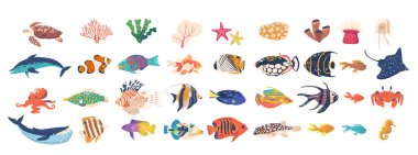 Değişik deniz yaratıklarının ve deniz hayvanlarının renkli çizgi film vektör seti. Balıklar, Mercanlar ve Sualtı Elementleri Eğitim Malzemeleri, Posterler ve Deniz Yaşamı Çeşitliliğini Gösteren Yaratıcı Projeler